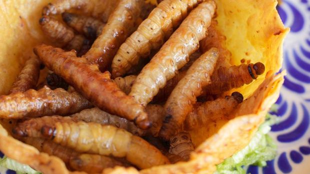 Geli Enak! 5 Makanan Populer di Manca Negara Ini Diolah dari Cacing
