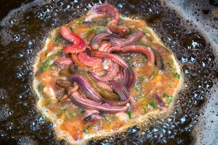 Geli Enak! 5 Makanan Populer di Manca Negara Ini Diolah dari Cacing