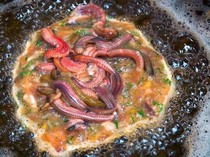 Geli Enak! 5 Makanan Populer di Manca Negara Ini Diolah dari Cacing