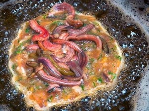 Geli Enak! 5 Makanan Populer di Manca Negara Ini Diolah dari Cacing