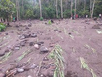 Lahan Pertanian  di Kaki Gunung Lewotobi Rusak Diterjang Banjir Lahar Dingin