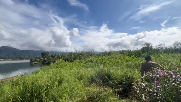 Penampakan tanah hanyut membentuk pulau di tengah Danau Kerinci