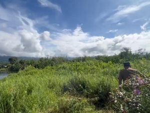 Muncul Pulau Baru Lagi, Kali Ini Ditemukan di Tengah Danau Kerinci