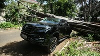 Pohon yang tumbang saat ini dalam posisi melintang menutup jalan, di Jalan Sriwijaya I, Kebayoran Baru, Jakarta Selatan, Selasa (16/1/2024).