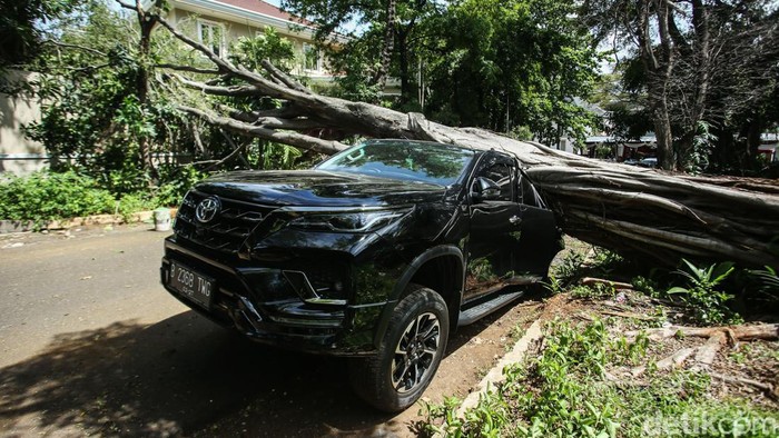 Pohon Tumbang Timpa Mobil Fortuner di Jaksel Pohon besar di Jalan Sriwijaya I, Kebayoran Baru, Jakarta Selatan, tumbang, Selasa (16/1/2024). Pohon tersebut jatuh dan menimpa sebuah mobil Fortuner yang sedang terparkir.