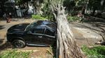 Bruukk.. Pohon Tumbang Timpa Mobil Fortuner di Jaksel