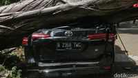 Angin Kencang Landa Bondowoso, Pohon Tumbang Timpa Pikap dan Lukai Pengendara di Jalur Ijen Angin Kencang Landa Bondowoso, Pohon Tumbang Timpa Pikap dan Lukai Pengendara di Jalur Ijen