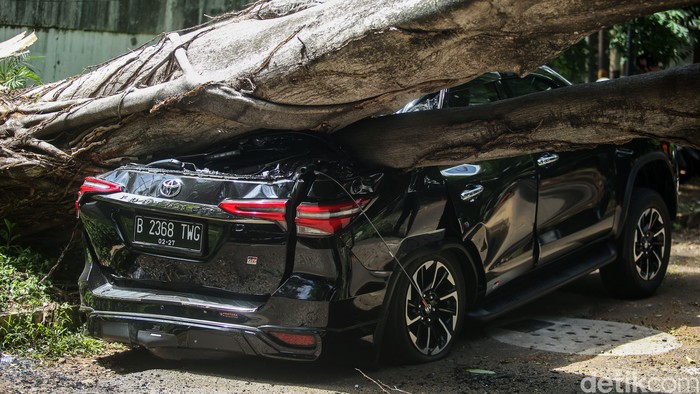 Pohon besar di Jalan Sriwijaya I, Kebayoran Baru, Jakarta Selatan, tumbang, Selasa (16/1/2024). Pohon tersebut jatuh dan menimpa sebuah mobil Fortuner yang sedang terparkir.