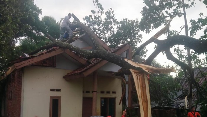 Rumah tertimpa pohon akibat puting beliung di Tasikmalaya pada Selasa (16/1/2024).