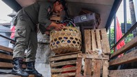 Dagangan diangkut menggunakan mobil Satpol PP.