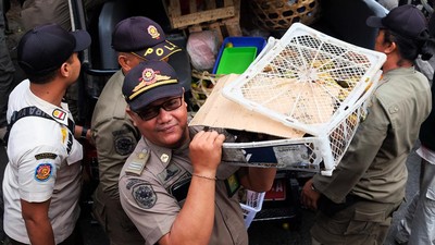 Satpol PP Denpasar Tertibkan Pedagang di Atas Trotoar