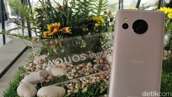 Sharp Aquos Sense8 sudah menjalankan sistem operasi Android 13. Selain itu Sharp menjanjikan memberikan tiga kali upgrade OS dan pembaruan keamanan selama lima tahun. Foto: detikINET/Josina