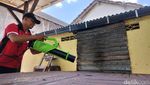Penampakan Ulat Bulu Teror Rumah Warga Kota Blitar