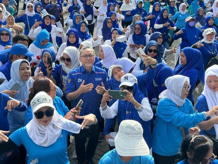 Tim Media Zulhas