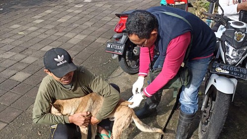 Dinas Pertanian Tabanan saat melakukan vaksinasi di wilayah Desa Padangan, Pupuan, beberapa waktu lalu.