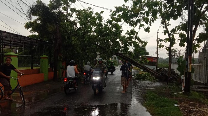 Angin kencang di Jombang