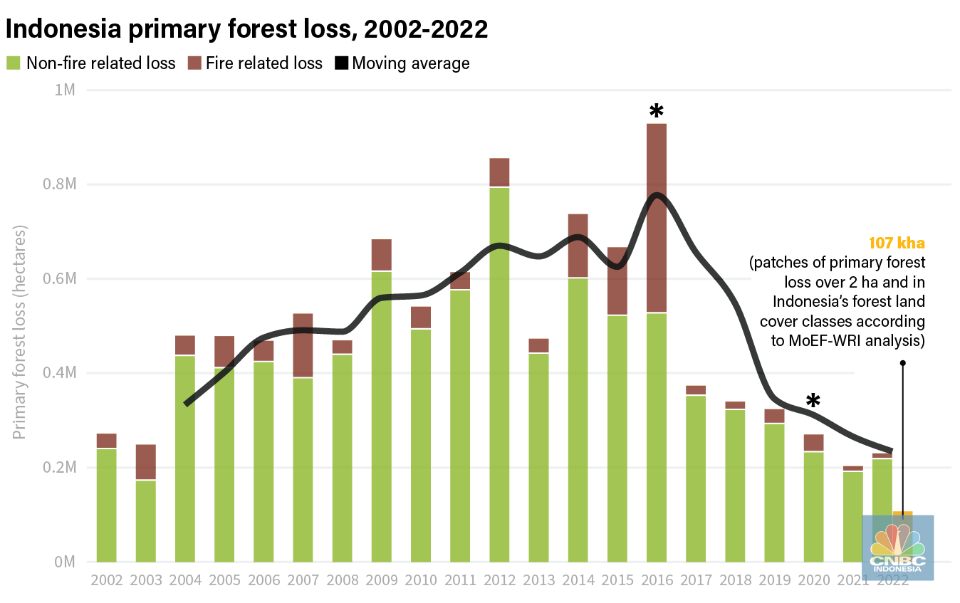 globalforestwatch.org