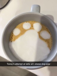 Kocak! Kumpulan Latte Art yang Gagal Total