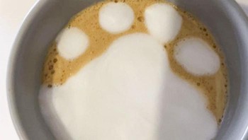 Kaki kucing yang kebesaran. Foto: Boredpanda