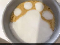 Kocak! Kumpulan Latte Art yang Gagal Total