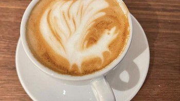 Gagal membuat angsa, jadinya tidak sengaja membuatnya menjadi seekor anjing yang mengibas-ngibaskan ekornya dengan sangat cepat. Foto: Boredpanda