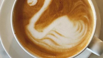 Gambar angsa yang tak seperti angsa. Foto: Boredpanda