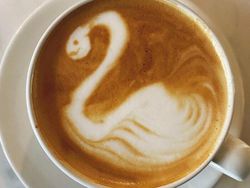 Kocak! Kumpulan Latte Art yang Gagal Total