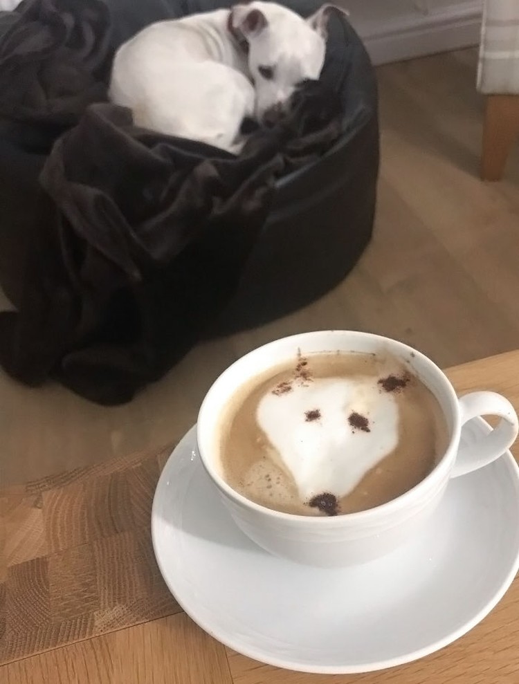 Kocak! Kumpulan Latte Art yang Gagal Total