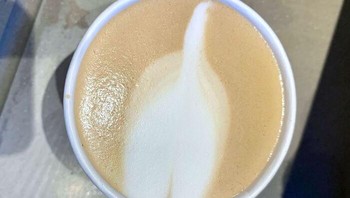 Mau bikin motif Flat White, tapi kok seperti ekor anak anjing. Foto: Boredpanda