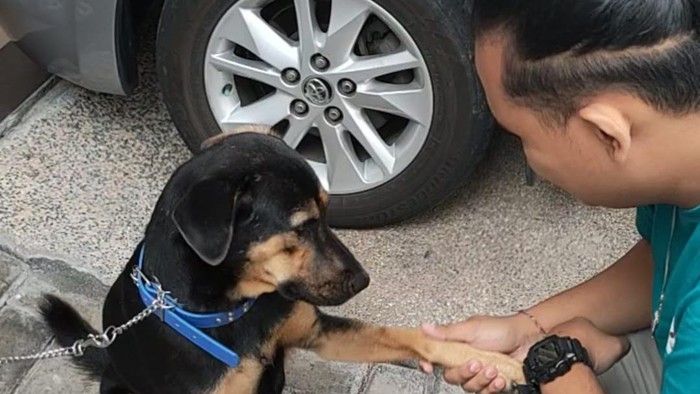 Komunitas pecinta anjing yang dirikan shelter di Blitar.