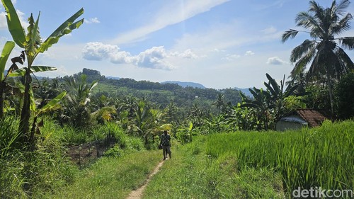 Lokasi lahan warga yang akan dijaikan TPA di Desa Timuhun, Kecamatan Banjarangkan, Klungkung, Bali, Selasa (17/1/2024). (Foto: Putu Krista/detikBali)