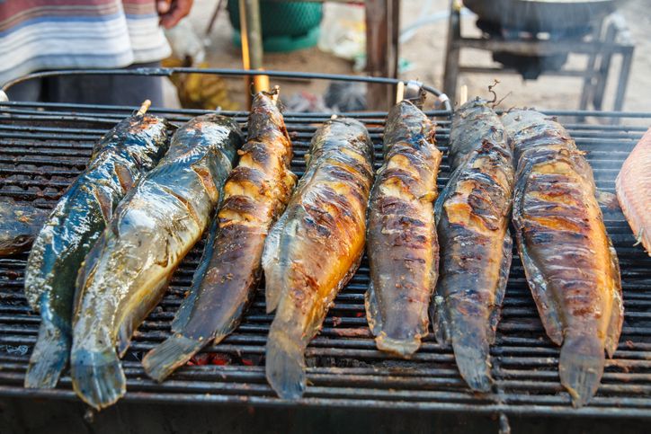 Ikan Lele yang Murah dan Kaya Nutrisi Punya 4 Manfaat Sehat Ini