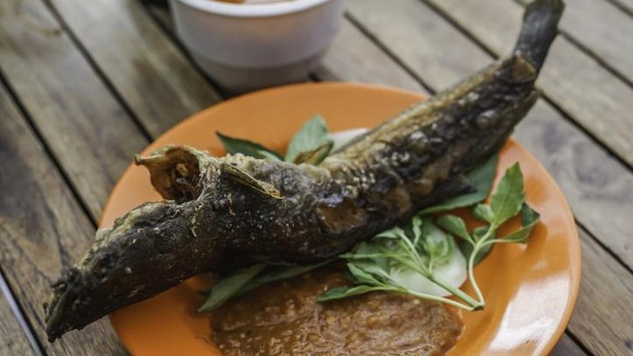7 Dampak Makan Ikan Lele, Jantung yang Sehat hingga Risiko Radang Usus