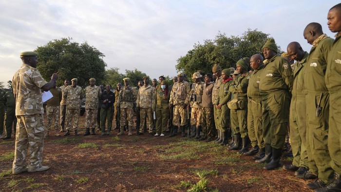 Misi Kenya Cegah Kepunahan Badak Hitam Kenya Wildlife Service rangers and capture team pull out a sedated black rhino from the water in Nairobi National Park, Kenya Tuesday, Jan. 16, 2024. Kenya has embarked on its biggest rhino relocation project ever and began the difficult work Tuesday of tracking, darting and moving 21 of the critically endangered beasts, which can each weigh over a ton, hundreds of miles in trucks to a new home. A previous attempt at moving rhinos in the East African nation in 2018 was a disaster as all 11 of the animals died. (AP Photo/Brian Inganga)