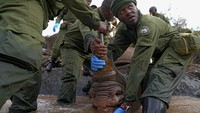 Kenya kini memiliki hampir 1.000 badak hitam, menurut departemen satwa liar. Jumlah tersebut merupakan populasi badak hitam terbesar ketiga di dunia setelah Afrika Selatan dan Namibia. Hanya ada 6.487 badak liar yang tersisa di dunia, menurut badan amal konservasi badak Save The Rhino, semuanya berada di Afrika.