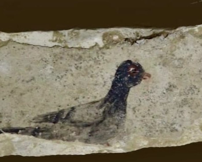 Penemuan mumi Mesir dan artefaknya di Minya