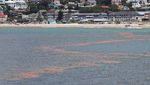 Potret Pantai di Cape Town Berubah Jadi Merah