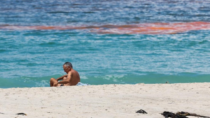 A man sits on the beach near a red tide seen in the False Bay coastal waters in Cape Town, South Africa, January 16, 2024. REUTERS/Esa Alexander