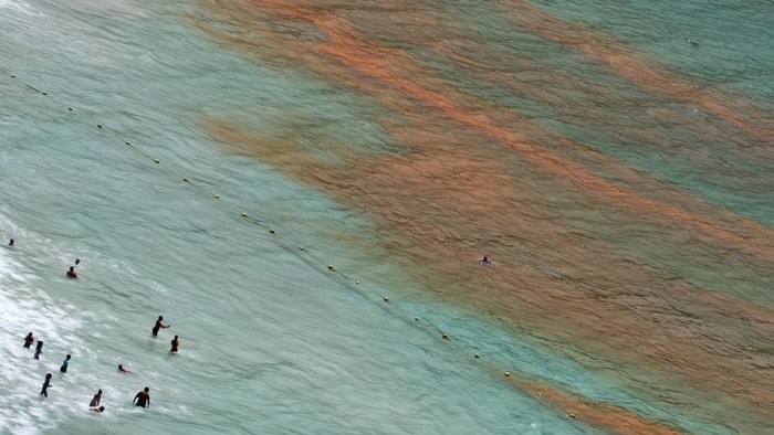A man sits on the beach near a red tide seen in the False Bay coastal waters in Cape Town, South Africa, January 16, 2024. REUTERS/Esa Alexander