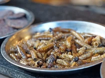 Ini 5 Serangga yang Paling Banyak Dikonsumsi di Dunia