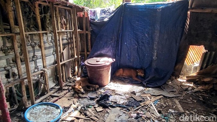 Tempat ekseskusi dan penjualan daging anjing di Sukabumi, Jawa Barat