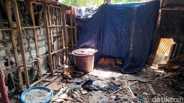 Tempat ekseskusi dan penjualan daging anjing di Sukabumi, Jawa Barat