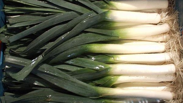 Bawang prei (leek).