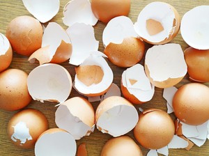 4 Manfaat Cangkang Telur untuk Rumah yang Jarang Orang Tahu