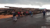 Sejumlah awak media mendokumentasikan barang bukti gelondongan kayu hasil ilegal logging di Kalimantan Tengah.