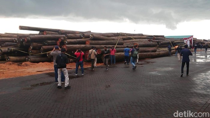 Dittipidter Bareskrim Ungkap Tindak Pidana Ilegal Logging Ribuan Meter Kubik Dittipidter Bareskrim Ungkap Tindak Pidana Ilegal Logging Ribuan Meter Kubik di Lamongan, Kamis (18/1/2023).