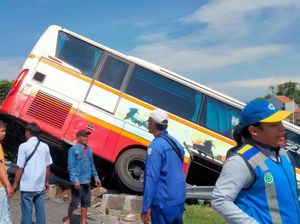 3 Orang Luka Buntut Laka Bus Harapan Jaya Vs Kuda di Tol Mojokerto-Surabaya