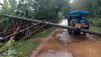 Akibatnya lalu lintas Arjasa menuju Kangayan lumpuh total dan listrik padam.