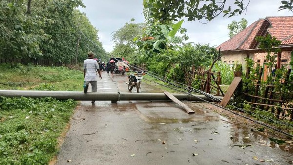 5 Tiang PLN Roboh Bikin Arus Lalin Kangayan-Arjasa Tersendat
