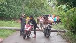 5 Tiang PLN Roboh Bikin Arus Lalin Kangayan-Arjasa Tersendat